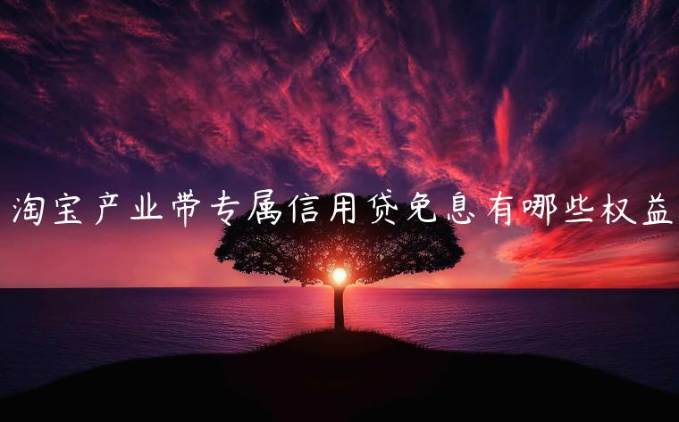 淘寶產(chǎn)業(yè)帶專屬信用貸免息有哪些權益